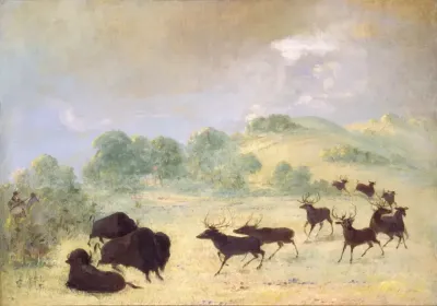 Elk And Buffalo Making Acquaintance Texas