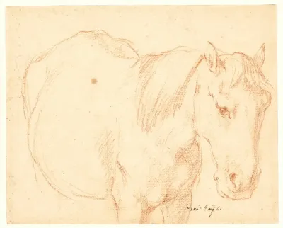 En Hest 2