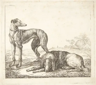 En Mynde Og En Liggende Hund
