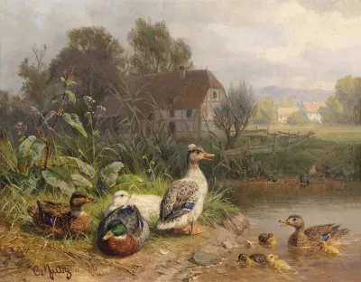 Enten Am Teich
