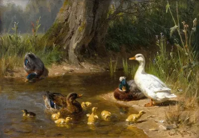 Enten Am Wasser 2