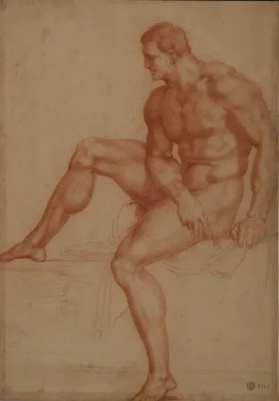 Estudio Para Hercules