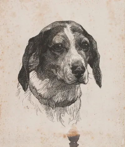 Et Hundehoved 2