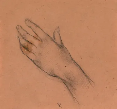 Etude De Main Gauche