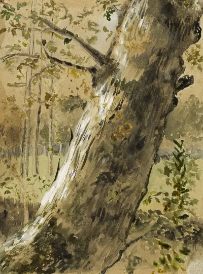 Etude De Paysage En Vendee La Roche Sur Yon Tronc Darbre