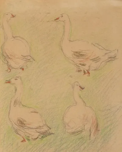 Etude De Quatre Oies