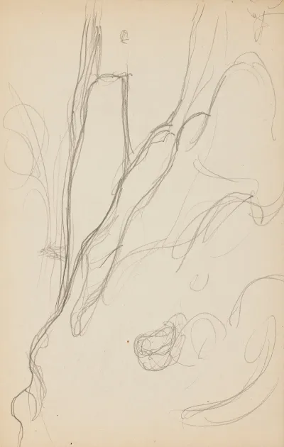 Etudes Danimaux De Paysages Et De Modeles 2
