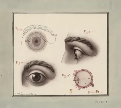 Etudes De Loeil
