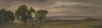 Evening Meadow Landscape