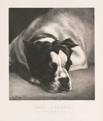 Fast Asleep