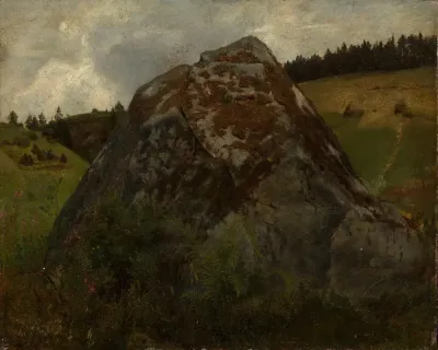 Felsblock In Einem Wiesental