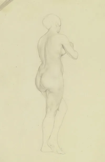 Female Nude From Behind 2