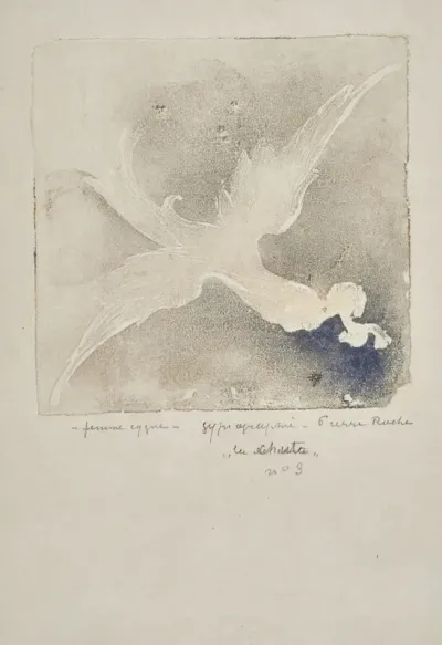 Femmes Cygnes Volantes V La Chute