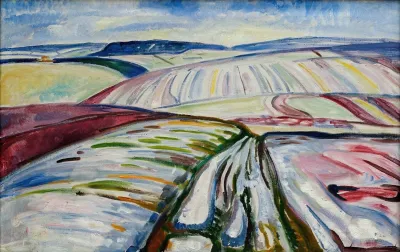 Field In Snow