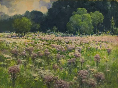Field Of Joe Pie Weeds Pride Of The Meadow