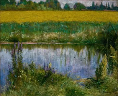 Field Of Lupine