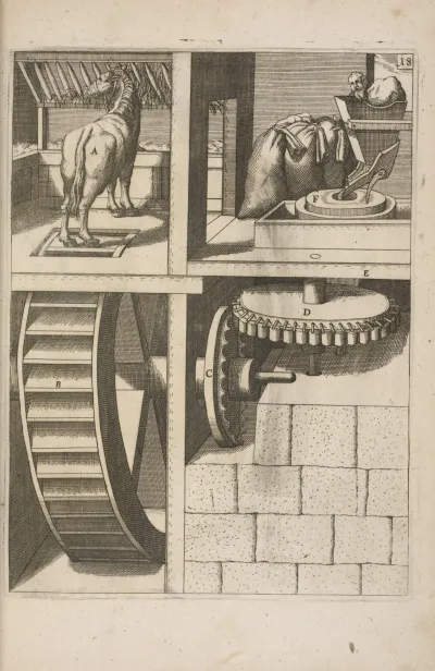 Fig Xiix Pateomylos