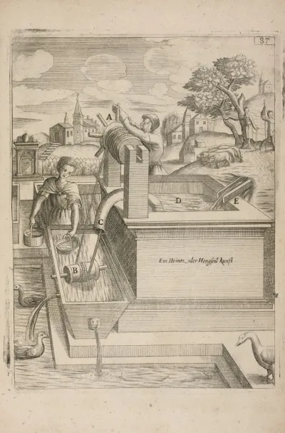 Fig Xxcvii Haustrum