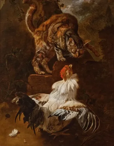 Fight Of A Cock And A Cat