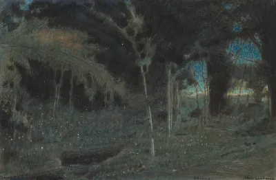 Fireflies Trinidad