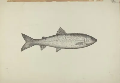 Fish Shop Sign