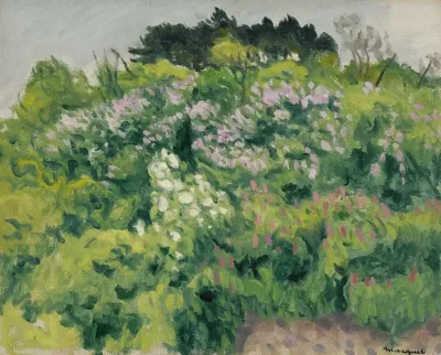 Fleurs Alger