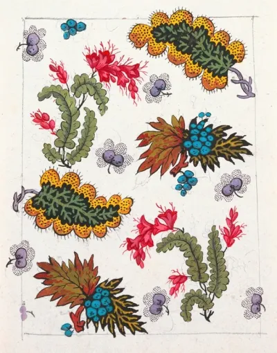 Floral Design For Printed Textile Pl III