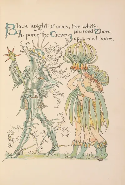 Floras Feast A Masque Of Flowers Pl 13