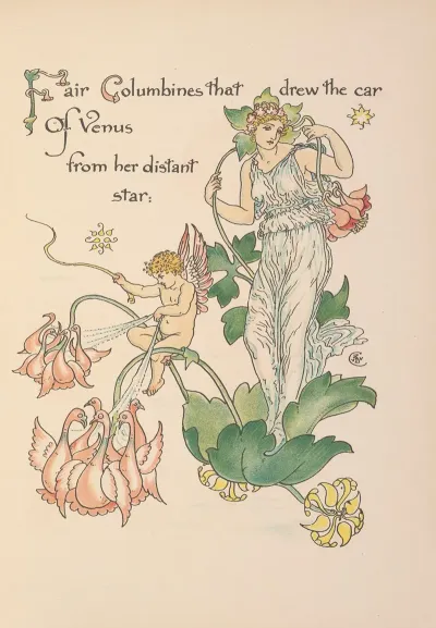 Floras Feast A Masque Of Flowers Pl 21