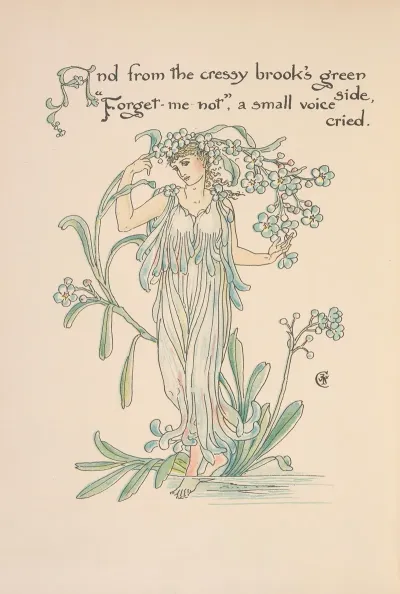 Floras Feast A Masque Of Flowers Pl 24