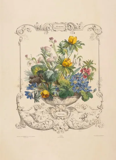 Flore Des Quatre Saisons Pl 11