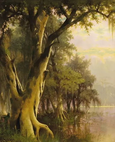 Florida Lowlands
