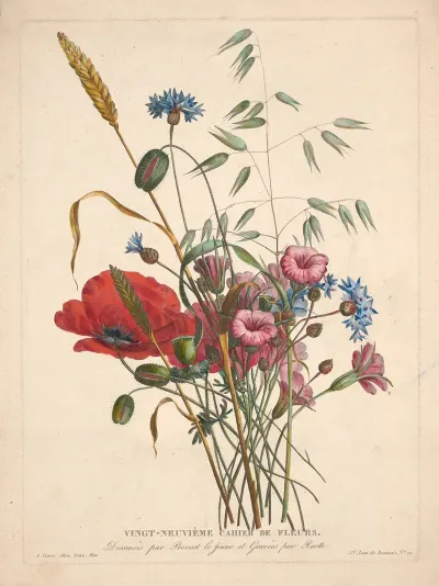 Flowers 42