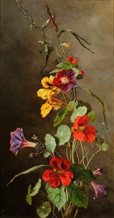 Flowers Nasturtiums