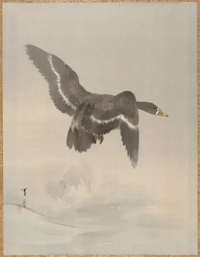 Flying Goose