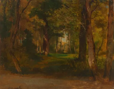 Forest 11