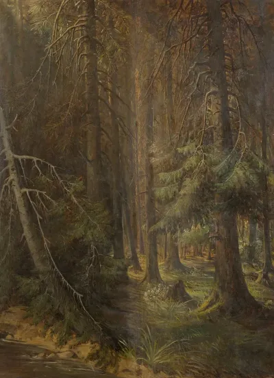 Forest 13