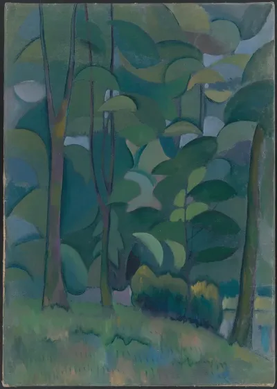 Forest 14