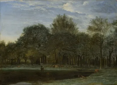Forest Clearing With Grazing Deer