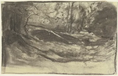 Forest Glade 2