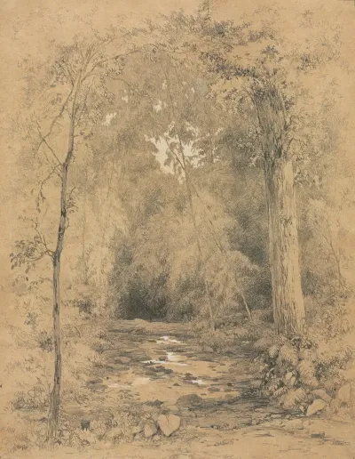 Forest Interior 7