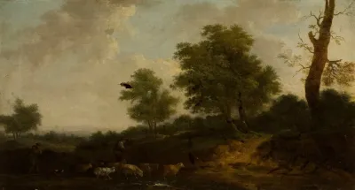 Forest Landscape 11
