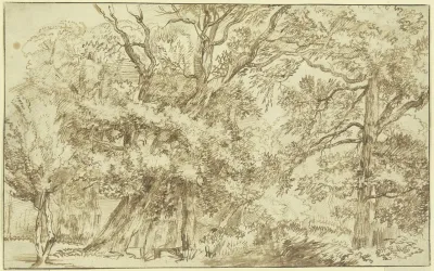 Forest Landscape 18