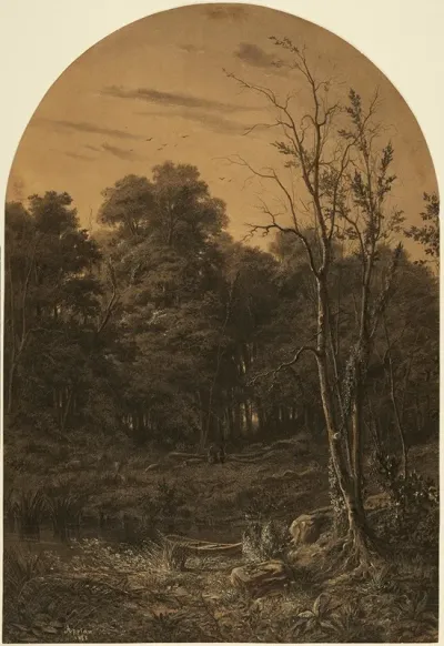 Forest Landscape Near A Pond