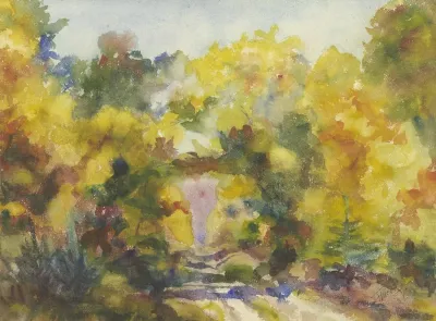 Forest Path 7