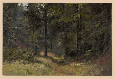 Forest Road In The Szczawnik Valley