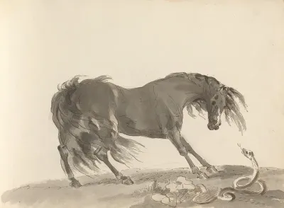 Fourty Three Studies Of Horses And Riders Pl 25