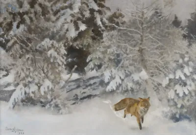 Fox In Winter Landscape
