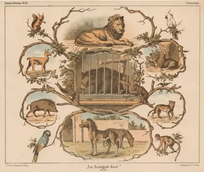 Fra Zoologisk Have No 2