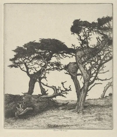Fragments Of The Ostrich